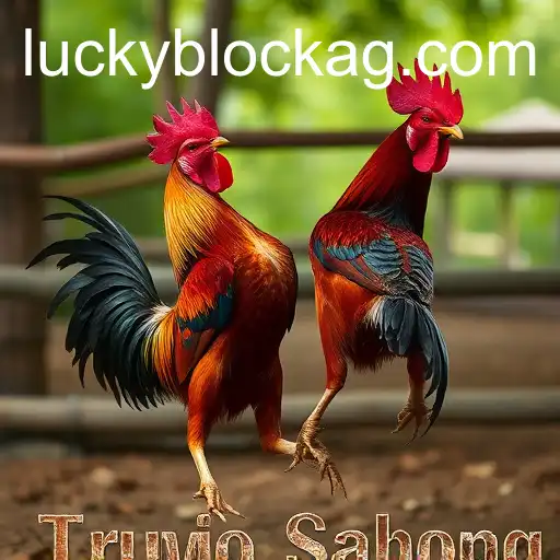 Jogos de sabong